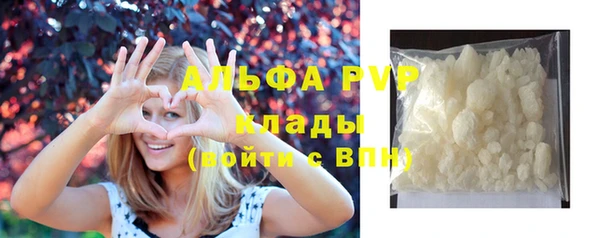 PSILOCYBIN Новокубанск