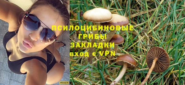 PSILOCYBIN Новокубанск